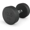 Гантель UNIX FIT PRO круглая обрезиненная 12,5 кг DBRND12_5PBKx2